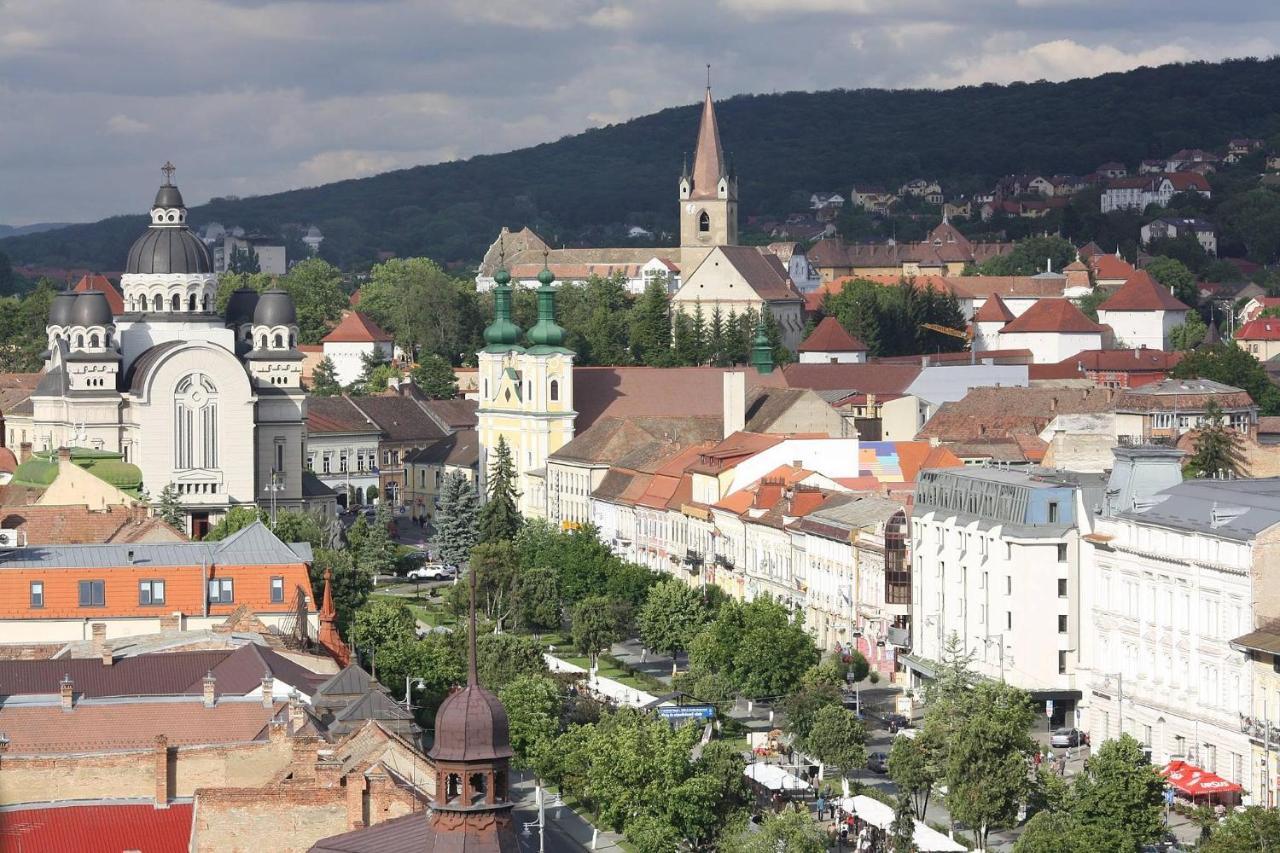 Butterfly Apartment-Hidden Gem In The Heart Of Targu Mures Luaran gambar