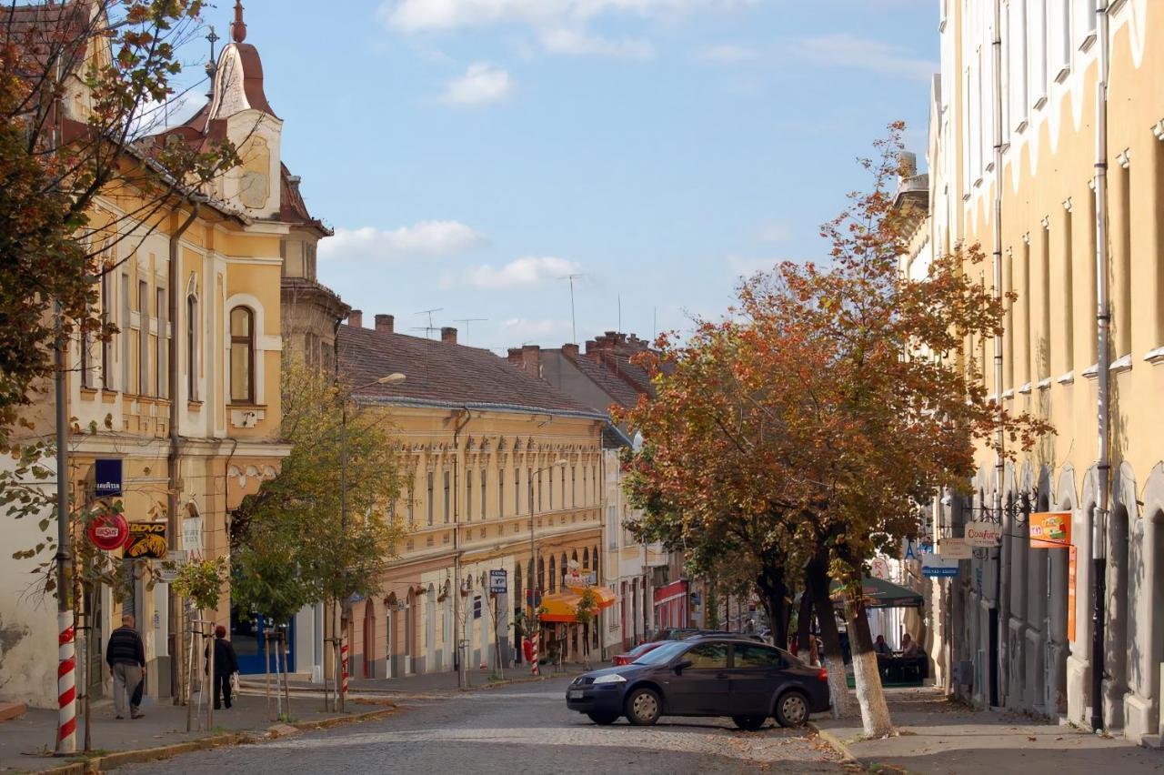 Butterfly Apartment-Hidden Gem In The Heart Of Targu Mures Luaran gambar